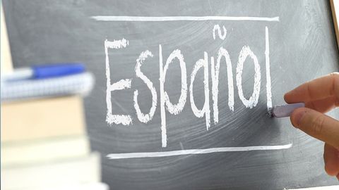 Educational bodies in Spain propose introducing Spanish language programs in Uzbekistan
