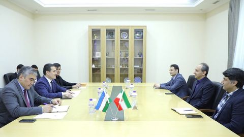 Iran, Uzbekistan may soon launch joint tea production