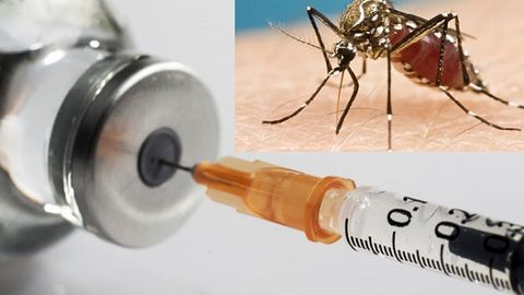 Ghana approves Oxford's malaria vaccine