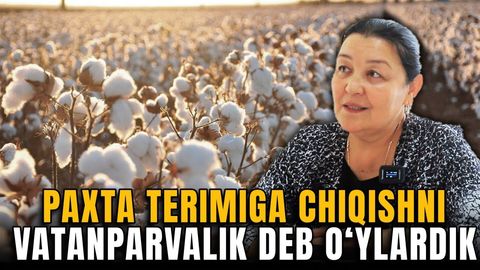 “Пахта теримига чиқишни ватанпарварлик деб ўйлардик” — андижонлик шифокор