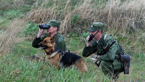 Два узбекистанца попали в тюрьму за попытку незаконно пробраться в Россию