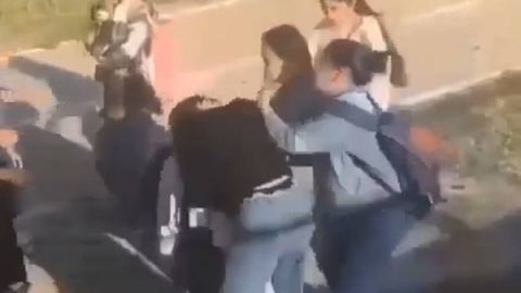 В Самарканде ученицы двух школ устроили массовую драку (видео)