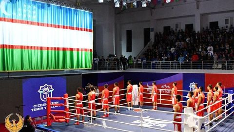 Вход на чемпионат мира по боксу сделали бесплатным