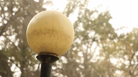 В ряде регионов Узбекистана ожидается пыльная буря