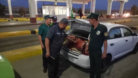 В Кашкадарьинской области предотвратили продажу тонны испорченного мяса