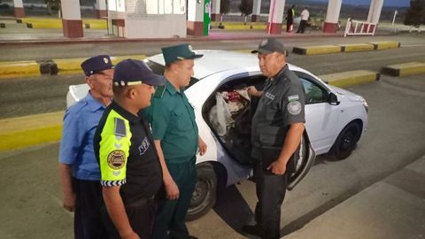 Authorities in Kashkadarya region seize nearly one tonne unfit meat