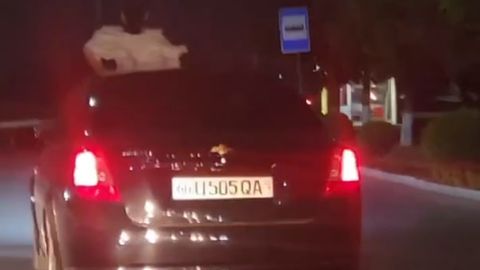Андижонда 20 ёшли қиз машинадан танасини чиқариб ҳаракатланди&nbsp;