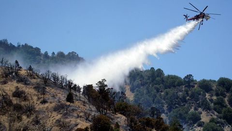 How do people protect forests from fires in Kazakhstan?&nbsp;
