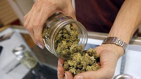 Braziliya politsiyasi cherkov ruhoniysiga tegishli samolyot bortida 290 kg marixuana borligini aniqladi