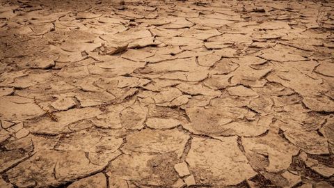 Drought forecasted in five regions of Kazakhstan