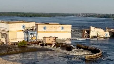 Каховка ГЭСнинг вайрон бўлиши оқибатида ҳайвонот боғини сув босди. Унда 260 та жонивор бор эди (видео)