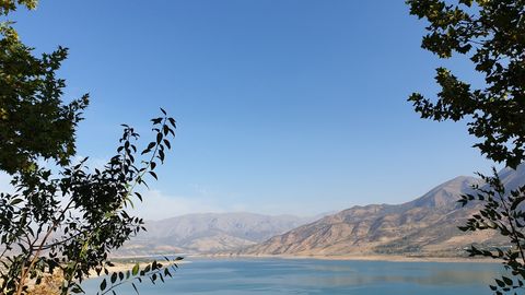 Toshkentdan Chorvoqqa avtobus qatnovi yo&lsquo;lga qo&lsquo;yildi