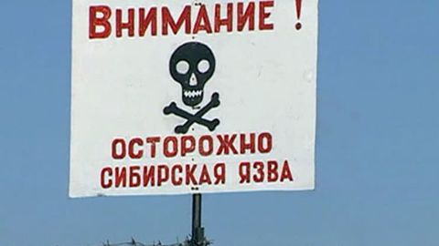 Қозоғистонда одамлар орасида Сибир яраси аниқланди