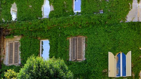 Italiyaning gullarga burkangan betakror balkon va hovlilari