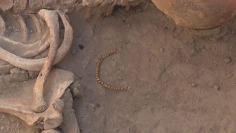 Archaeologists in Turkestan region of Kazakhstan unearth ancient gold earrings