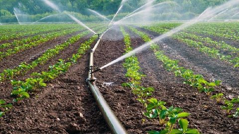 Southern regions of Kazakhstan anticipate shortage of irrigation water