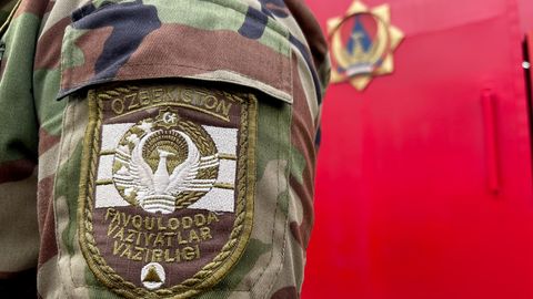 Амударё яқинида 3 390 туп дарахт ёқиб юборилгани аниқланди