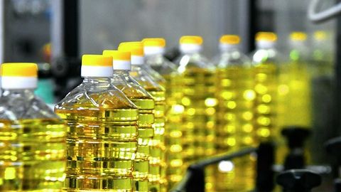 Region of East Kazakhstan takes lead in vegetable oil production