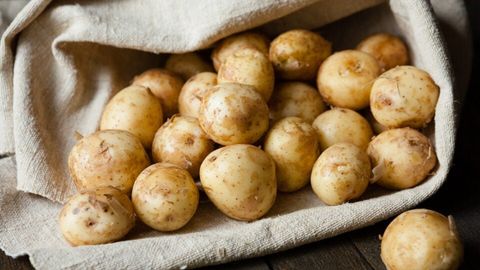Uzbekistan exports record volume of potatoes to Kazakhstan