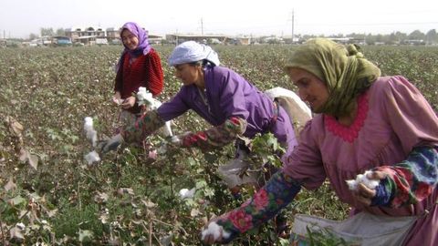 Farmers in Sughd region of Tajikistan suffer loss of over 1,000 ha of cultivated land&nbsp;