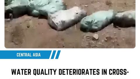Water quality deteriorates in cross-border R-1 canal, with animal remains floating in it&nbsp;