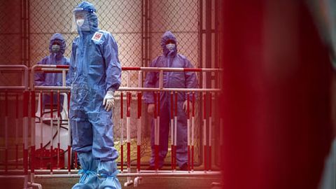 Хитой ва Мўғулистонда ўлат аниқланди. Бу борада Ўзбекистондаги вазият қандай?