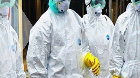 Bubonic plague does not threaten Uzbekistan