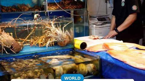 Russia seeks to boost marine product exports to China amid Japanese seafood ban