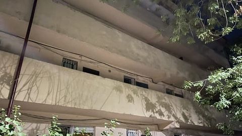 В Ташкенте кошку выбросили с четвертого этажа