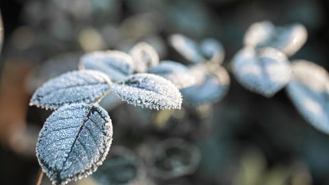 Kazakhstan may soon encounter snowfall, along with decline in temperature up to two degrees