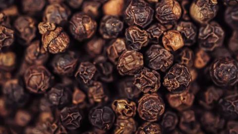 Chinese corporation to invest $10mn towards pepper processing in Uzbekistan