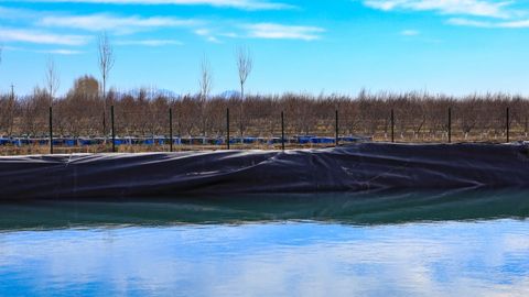Qashqadaryoda yerga oid qonunbuzarliklarning eng ko&lsquo;pi Yakkabog&lsquo;, Qarshi va Koson tumanlari hisobiga to&lsquo;g&lsquo;ri kelishi ma&rsquo;lum bo&lsquo;ldi