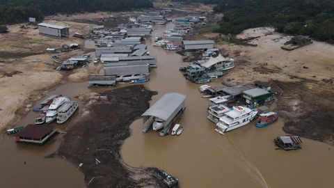 El Ni&ntilde;o's wrath looms: Latin American agriculture faces severe threats through 2024&nbsp;