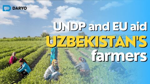 UNDP and EU aid Uzbekistan's farmers with agro-climatic bulletin