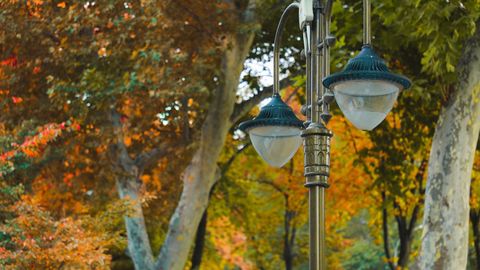 &ldquo;O&lsquo;zgidromet&rdquo; 24-oktyabrda qanday ob-havo bo&lsquo;lishini ma&rsquo;lum qildi