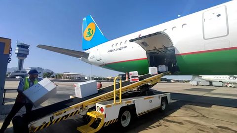 Egypt delivers 16th batch of anti-hepatitis C drugs to Uzbekistan