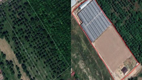 &ldquo;Dendropark&rdquo;da daraxtlar kesilib, noqonuniy qurilishlar qilingani yuzasidan jinoyat ishi qo&lsquo;zg&lsquo;atildi