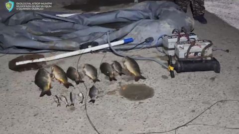 Тошкент вилоятида 12 та балиқни ноқонуний овлаганлар ҳайвонот дунёсига 7,6 млн сўм зарар етказди