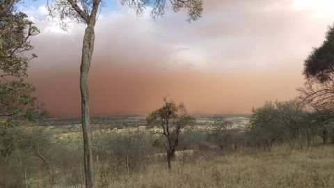 'Century's end predicts increased dust emissions across regions, including Central Asia' - WMO