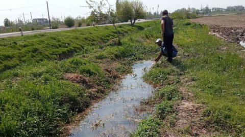 Qashqadaryoda ichimlik suvidan ekinlarni sug&lsquo;orib kelgan yana bir fuqaro jazolandi