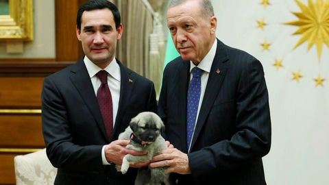 Бердымухамедов и Эрдоган &laquo;в знак дружбы&raquo; обменялись породистыми щенками 