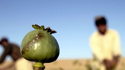 Rossiya Tojikistonga narkotik moddalar savdosiga qarshi kurash uchun 2,7 mln dollar beradi