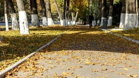 Ўзбекистонда 5 ноябрь куни ҳарорат 27 даражагача илиқ бўлади