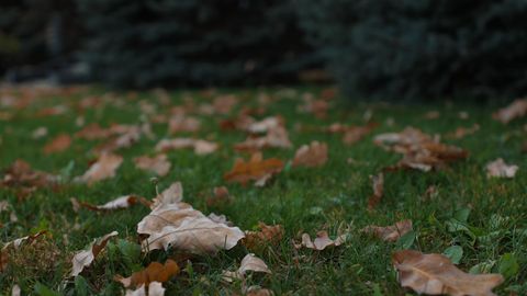Ўзбекистонда 10 ноябрь куни қандай об-ҳаво бўлиши маълум қилинди