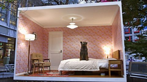 Tokioda Xatiko haykaliga &ldquo;uy qurib berildi&rdquo;