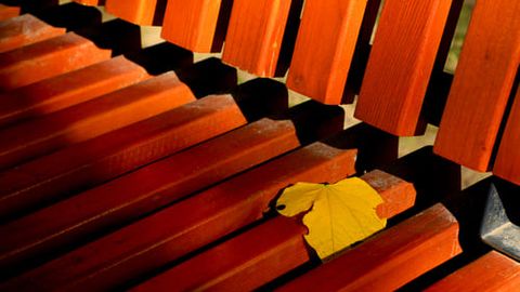 Ўзбекистонда 16 ноябрь куни ҳарорат яна кўтарилади