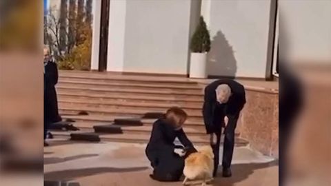 Молдова етакчисининг ити Австрия президентини тишлаб олди (видео)