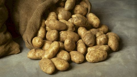 Kyrgyzstan commences 1,000 tons of potato supply to Uzbekistan&nbsp;&nbsp;