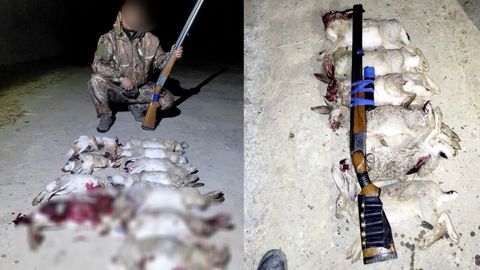 Сурхондарёда 17 бош ёввойи қум товушқонини овлаган браконьерга чора кўрилди