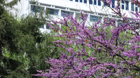 В Узбекистане нельзя будет строить здания без зеленых зон